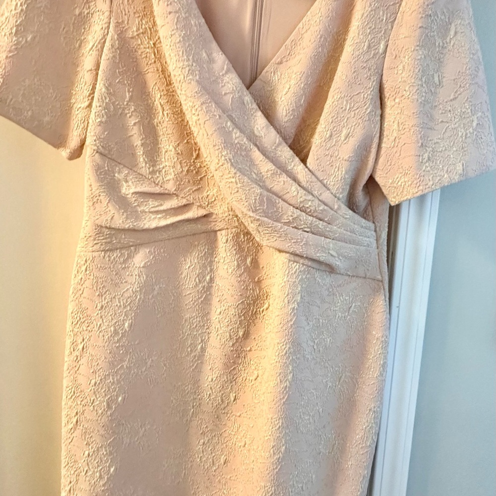 Adrianna Papell Blush Textured Wrap-Front Dress